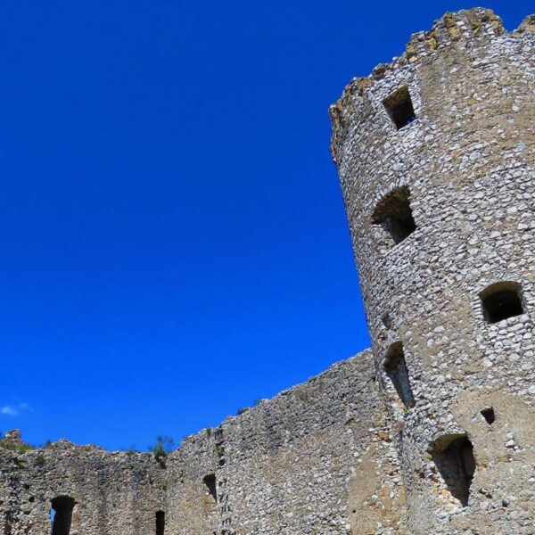 b7e51c3d-eda1-411d-a2e4-ff089e22e189